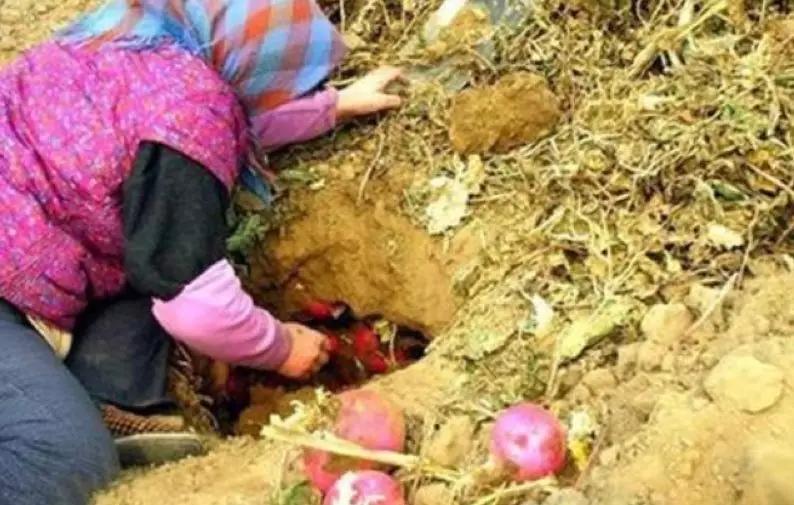 全国最新疫情下的隐秘宝藏,小巷特色小店