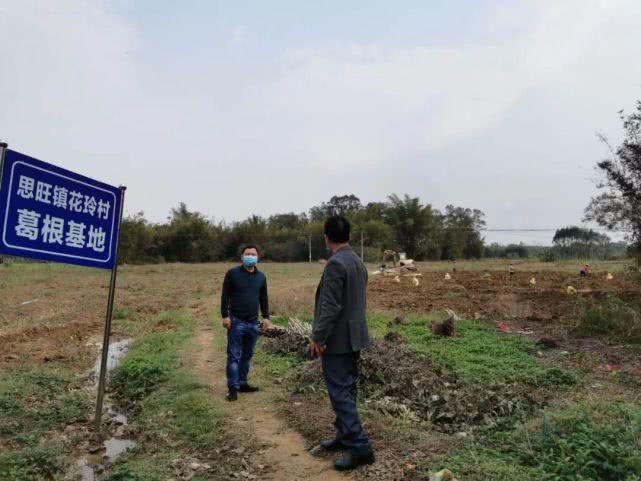 广西疫情最新报道，全面解读防控形势与应对策略