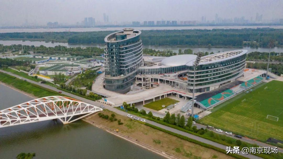 南京自贸区最新发展动态，观点分析与影响探讨