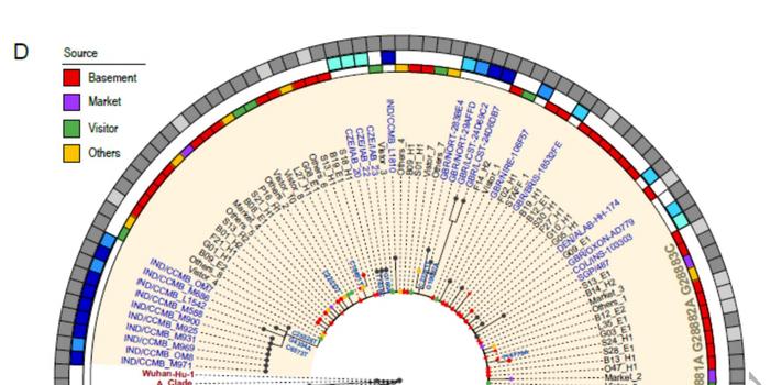 多维度视角下的新发地疫情最新数据深度论述