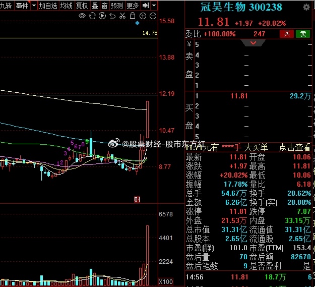 冠昊最新股价,市场走势分析与展望