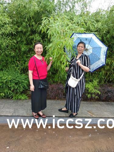 美女最新Z0系列,小巷深处的独特风情