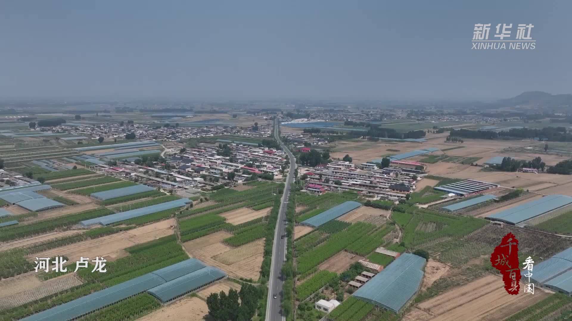 卢龙最新发展概况,深度观点阐述与分析