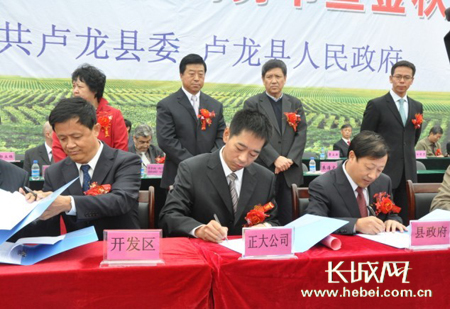 卢龙最新发展概况,深度观点阐述与分析