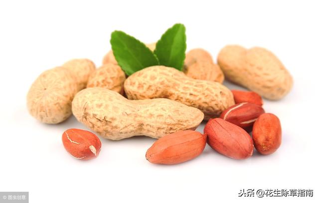 第851页