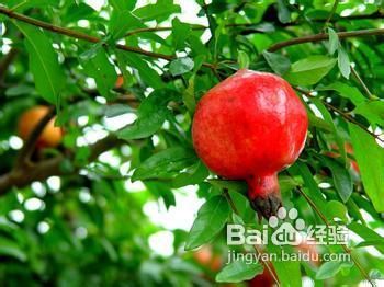 第819页