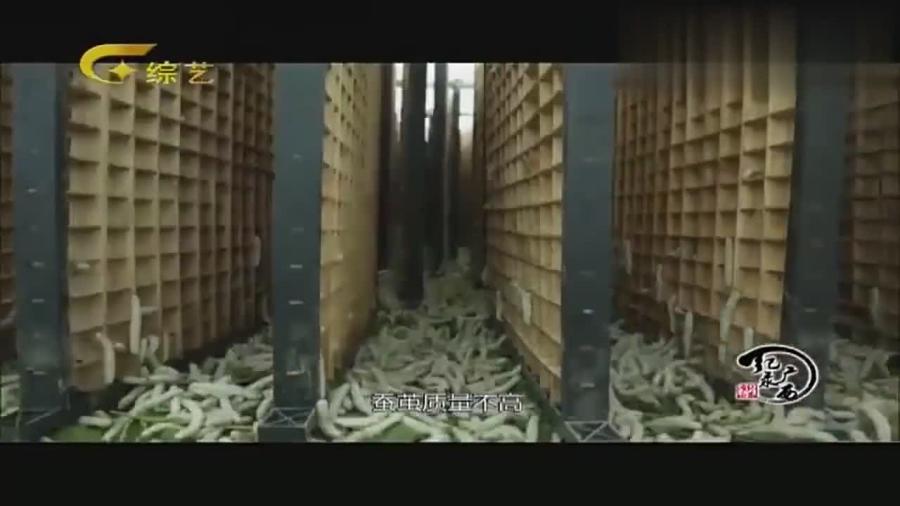 洗车服务 第111页