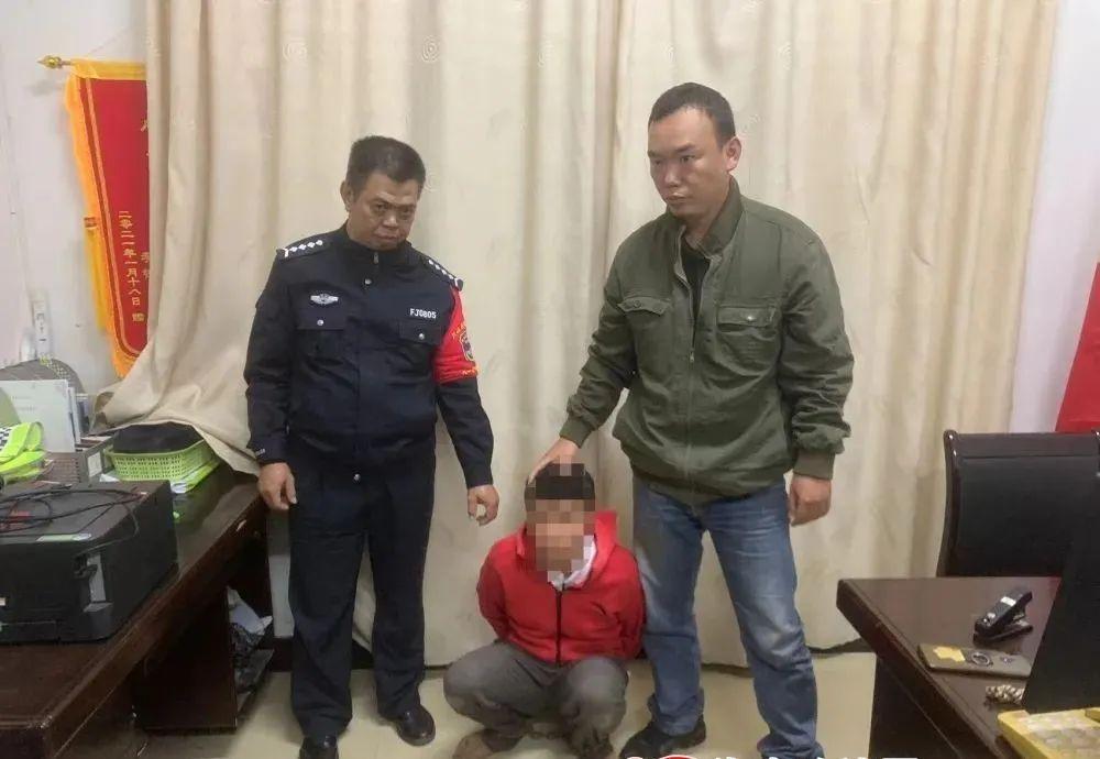 儋州命案与日常趣事，情感纽带之外的故事