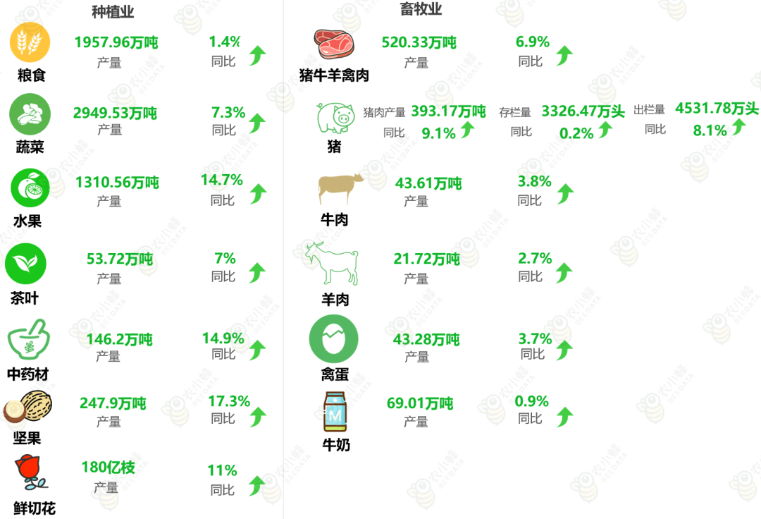 最新养殖业情况概览
